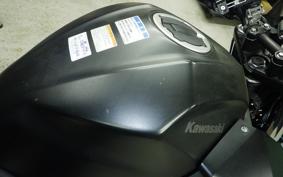 KAWASAKI Z250 Gen.2 EX250P