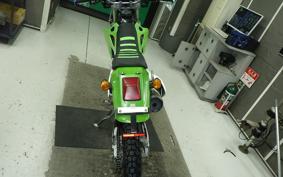 KAWASAKI KLX250 SR LX250E