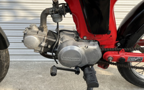 HONDA BENLY 50 CD50