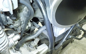 YAMAHA BRONCO 2020 5BT