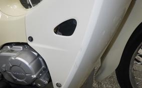 HONDA C110 SUPER CUB JA44