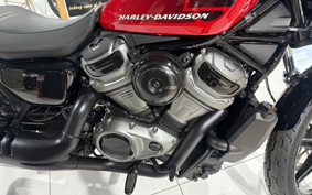 HARLEY RH975 NIGHT STAR 2023 ZH1