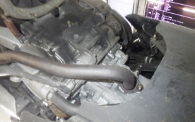 HONDA FAZE MF11