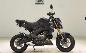 KAWASAKI Z125 PRO 2023 BR125H