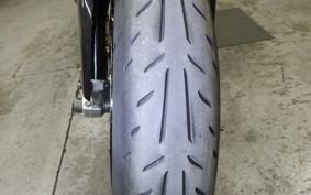BMW HP2 MEGAMOTO 2008