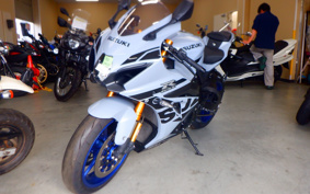 SUZUKI GSX-R1000R ABS 2021 DM11G