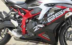 KAWASAKI  NINJA ZX-25R SE ZX250E