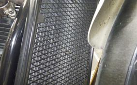 TRIUMPH SPEED TWIN 2024