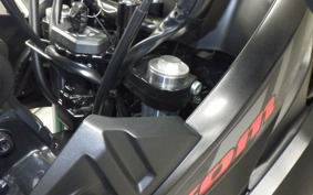 SUZUKI Vｽﾄﾛｰﾑ250A 2022