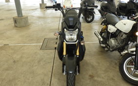 HONDA ZOOMER-X