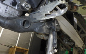 HONDA CRF250 RALLY A 2014 MD44