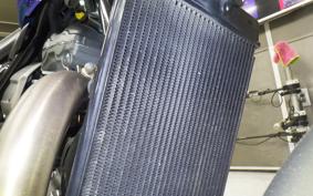 TRIUMPH SPEED 400 2024