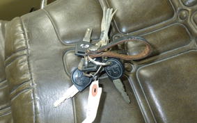 HARLEY FLHTC SIDECAR 1340 1984