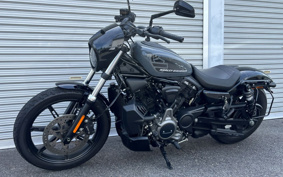 HARLEY RH975 NIGHT STAR 2022 ZH1