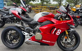 DUCATI PANIGA-REV4R 2019 DA04