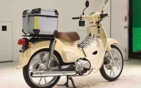 HONDA C110 SUPER CUB JA59