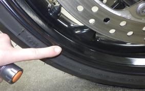 TRIUMPH TRIDENT 660 2024