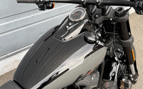 HARLEY  HARLEY FXFBS 2025 YLK