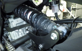 KAWASAKI ZX-25R ZX250E