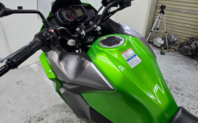KAWASAKI VERSYS-X 250 ABS LE250D