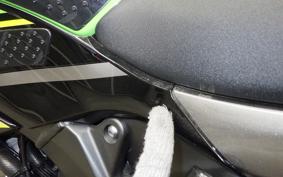 KAWASAKI NINJA ZX-6R A 2019 ZX636G