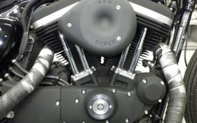 HARLEY XL883N 2013