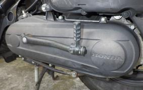 HONDA ZOOMER AF58