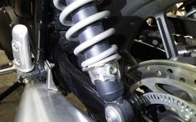 TRIUMPH SPEED TWIN 900 2024