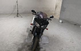 YAMAHA FZS1000 FAZER 2001 RN06