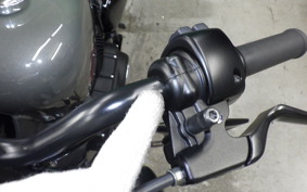 HARLEY XL1200X 2019