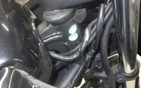 KAWASAKI NINJA 250R 2025 EX250K