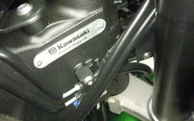 KAWASAKI NINJA 1000SX 2023 ZXT02K