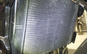 TRIUMPH TRIDENT 660 2024