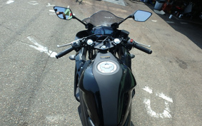 YAMAHA YZF-R25 RG10J