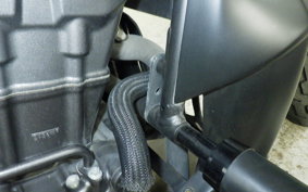 HONDA REBEL 250 S MC49