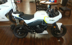 OTHER CFMOTO XO-1 PAPIO