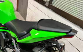 KAWASAKI NINJA ZX-6R 2022 ZX636G