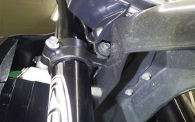 KAWASAKI KLX250D TRACKER X 2021 LX250V