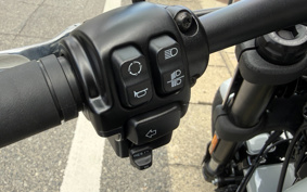 HARLEY FXFBS 2026 YLK