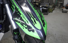 KAWASAKI KLX250D TRACKER X 2024 LX250V