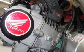 HONDA MONKEY R AB22