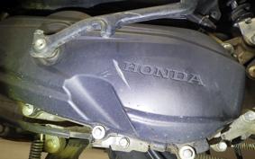 HONDA DUNK AF78
