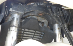 SUZUKI SKYWAVE 250 (Burgman 250) S 2 CJ43A