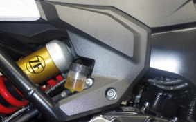BMW F900XR 2021