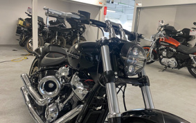 HARLEY FXBRS 2018 YHK