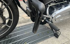 HARLEY FLSB 2019 YMJ