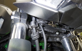 KAWASAKI Z250 Gen.2 2023 EX250Y