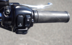 HARLEY FLSTC 2002 BJY