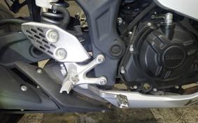 YAMAHA YZF-R25 2007 RG10J