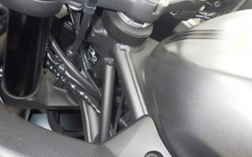 KAWASAKI ZX-4R SE 2025 ZX400P